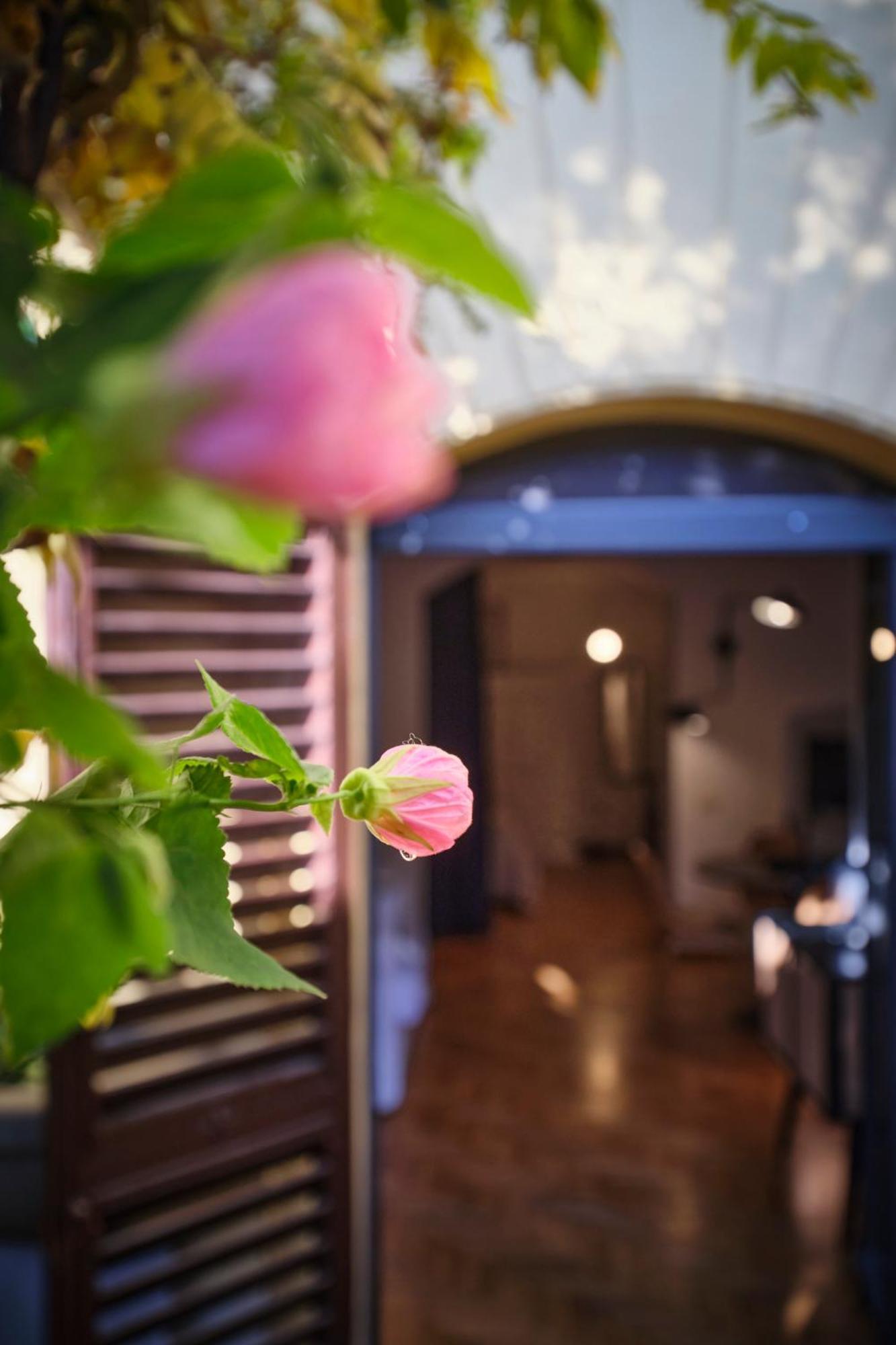 Enchanting Apartment With Patio, Lungarno Firenze Exterior foto